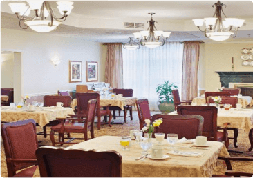 Dining area with modern furniture
